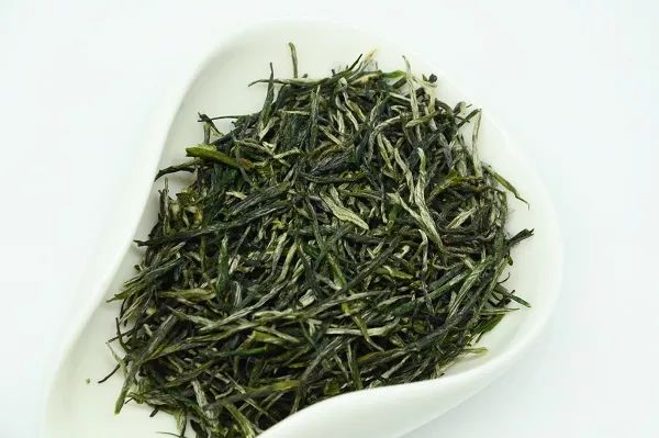 信阳毛尖旱茶和大白茶区别