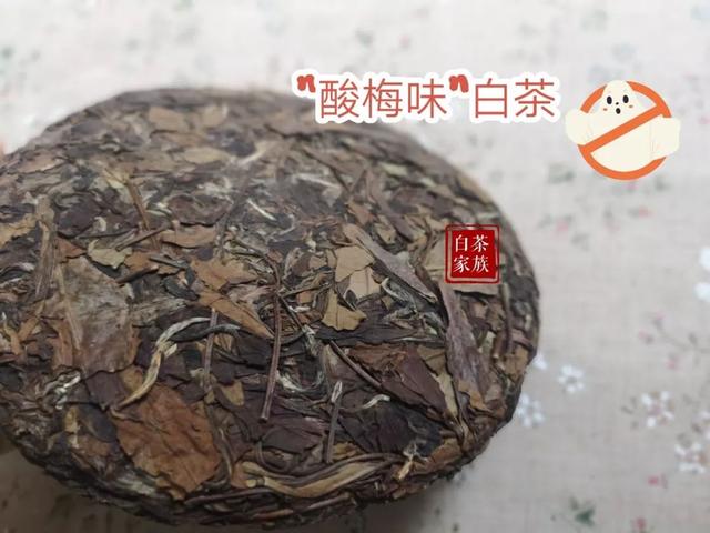 上老白茶厂家代理商