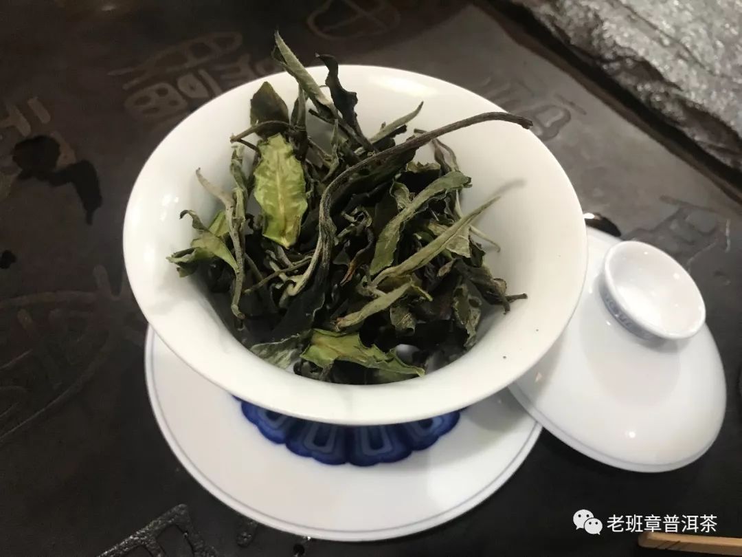 白茶哪种颜色喝最香图片