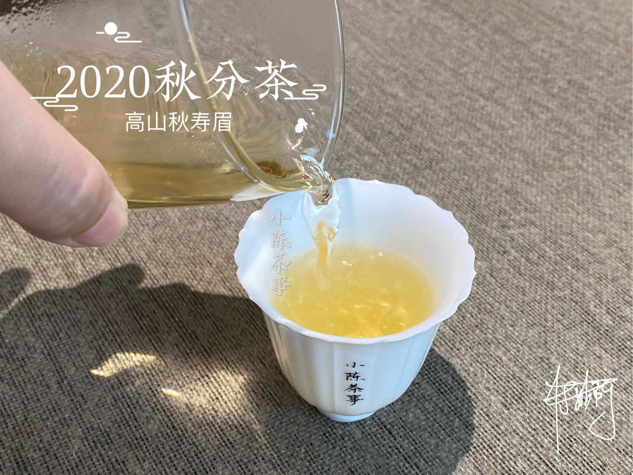 白茶什么颜色好喝一点