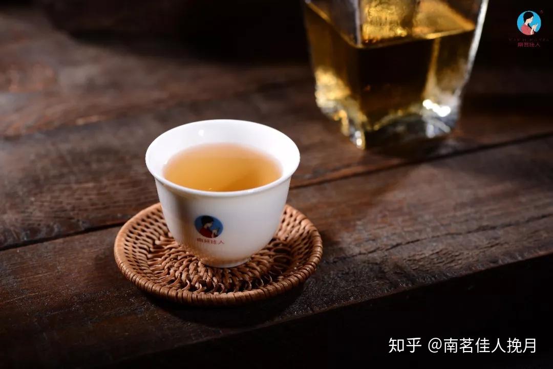 大叶白茶是什么品种