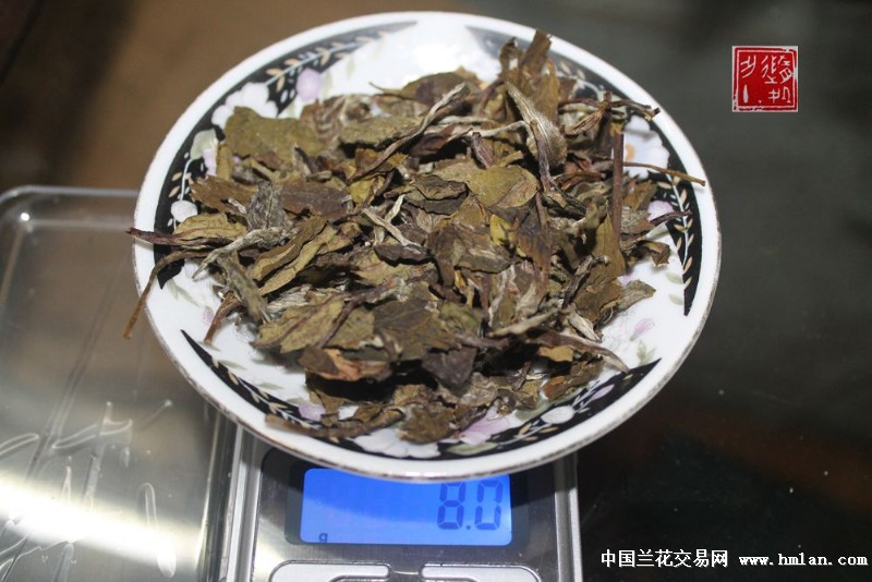 福鼎白茶秋露白是什么茶叶