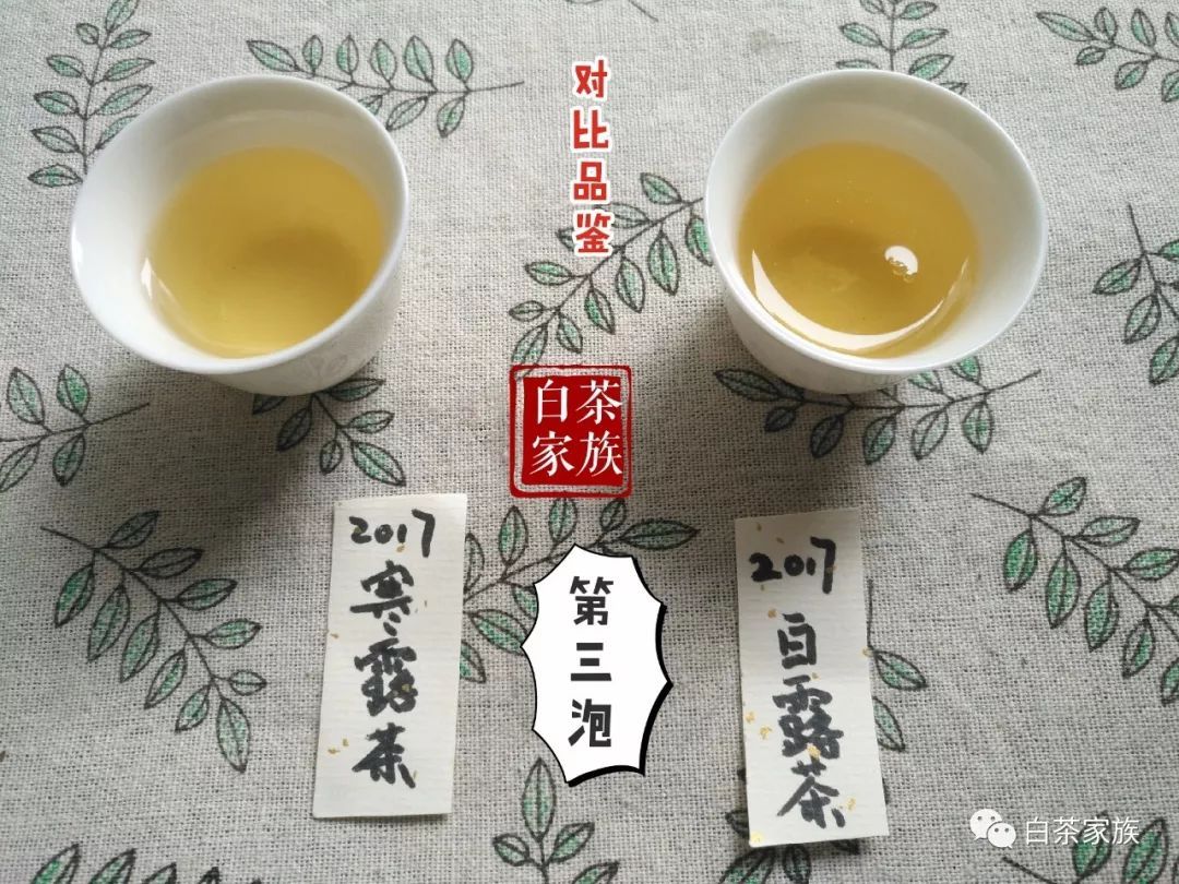 福鼎白露茶和寒露茶哪种好喝？