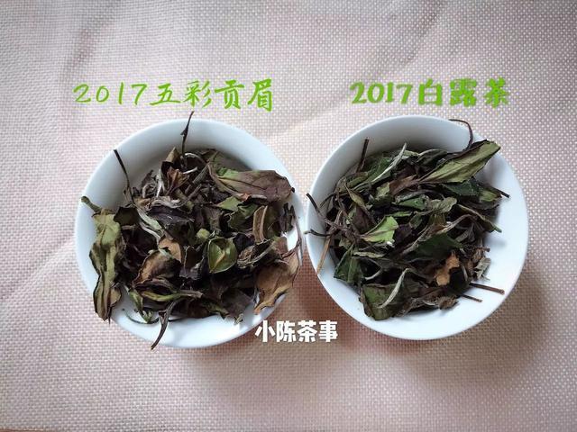 福鼎白茶秋露好还是寒露好