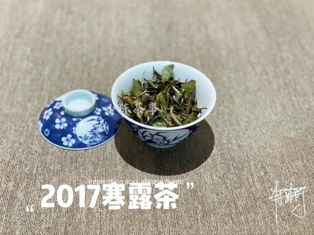 福鼎白茶秋露好还是寒露好