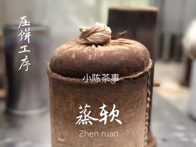 为什么白茶会有黑色的毛毛