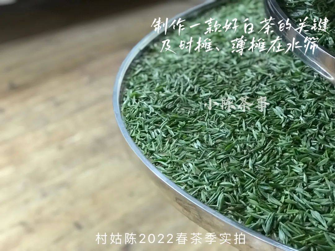 白茶白毫银针茶的特点、功效、作用及价格