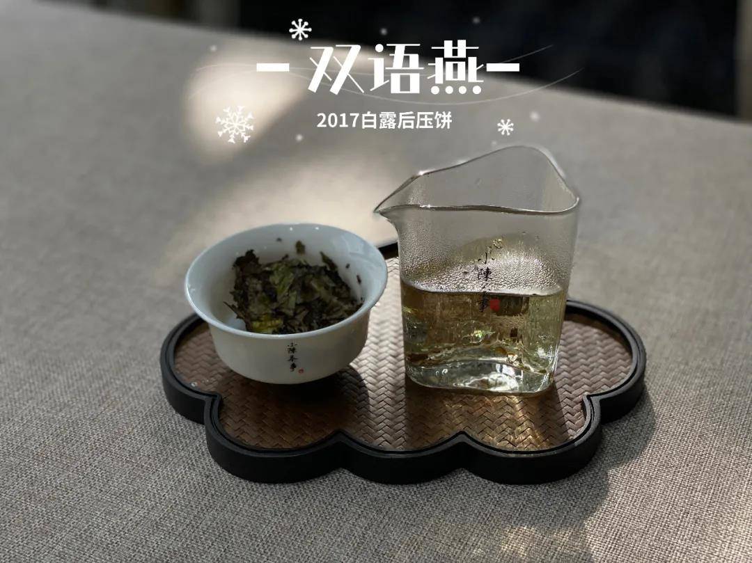 老白茶撬了直接煮可以吗有毒吗，安全保存方法