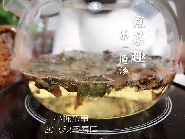 老白茶撬了直接煮可以吗