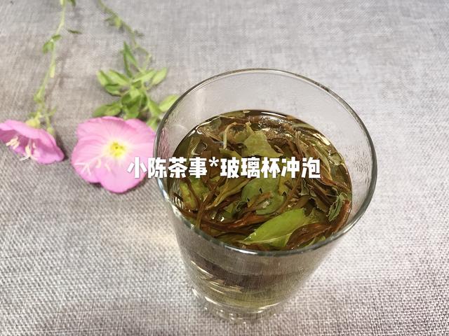 白茶哪个种类泡起来最浓稠喝？