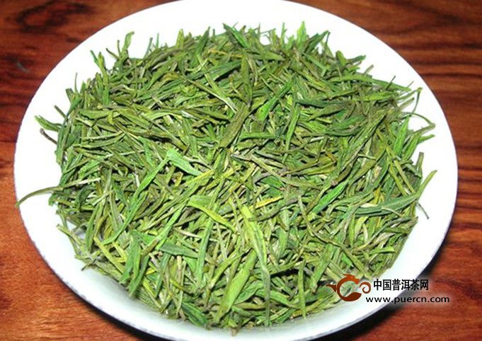 安吉白茶茶树新品种价格