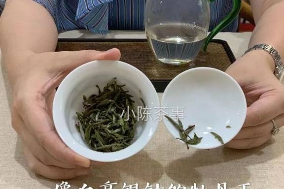 胃寒的人老白茶可以喝吗？