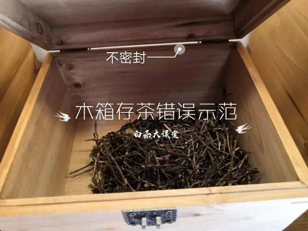 什么白茶适合收藏长时间存放？