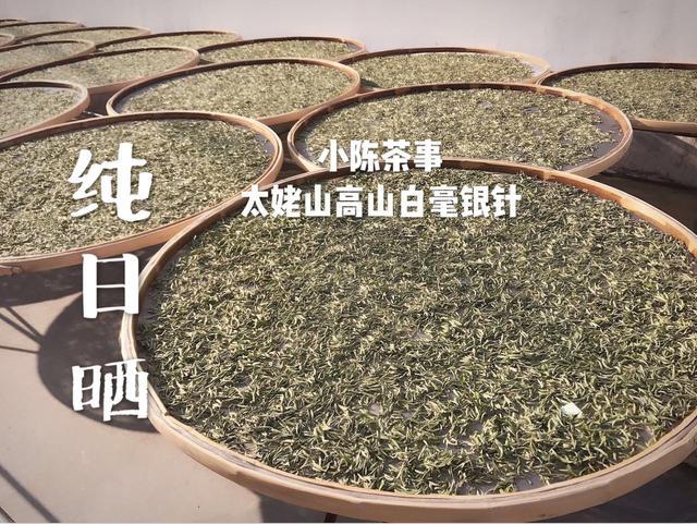 白茶萎凋槽如何制白茶及其工艺技术与原理