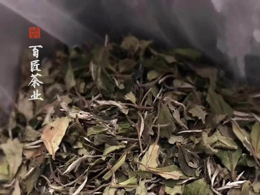 白茶没有颜色是好的还是坏的原因?