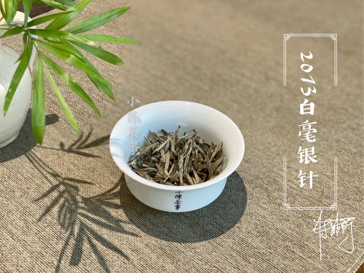 竹子白茶古树茶特点