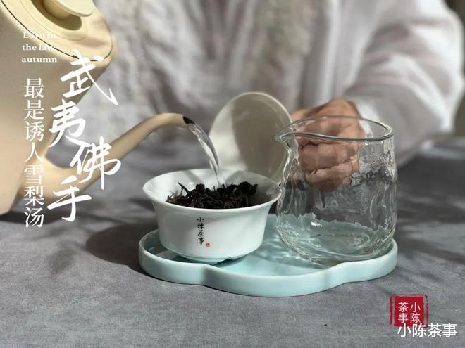 通过对比了解普洱茶和白茶到底哪个好：区别和品味