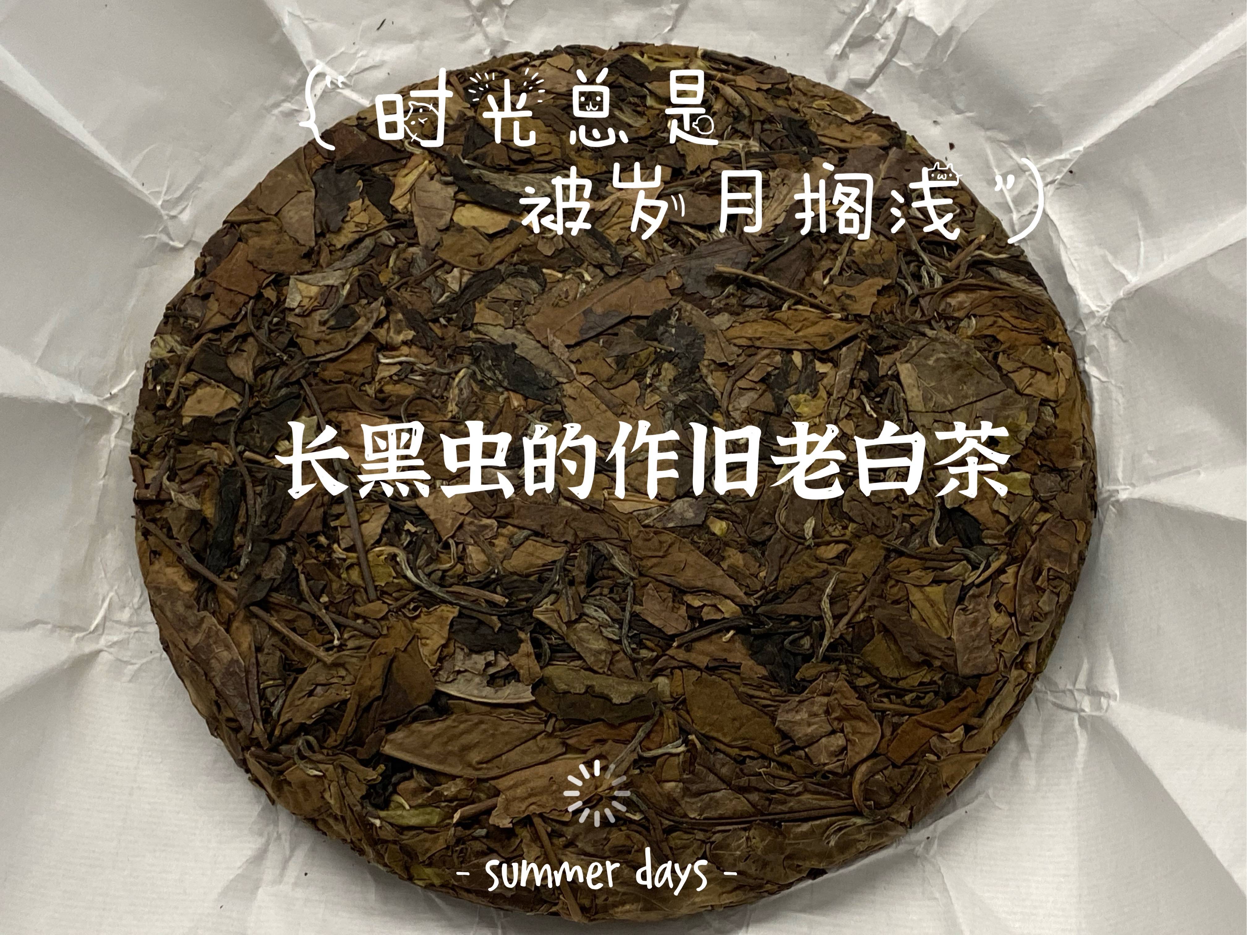 老白茶属性还是凉性茶