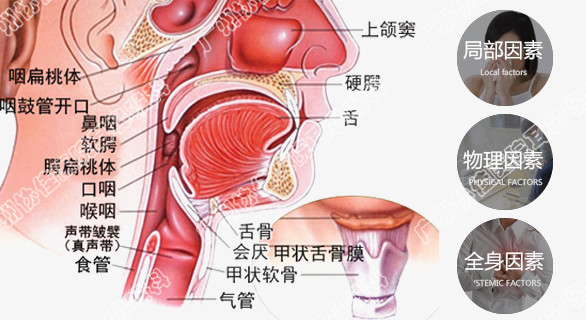 老白茶对嗓子好么，治喉咙疼、咽喉炎有好处吗？