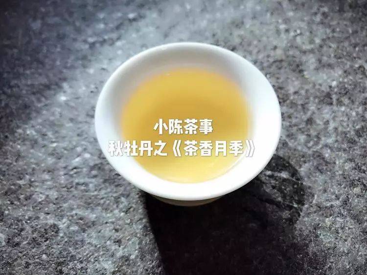 竹香福鼎白茶怎么喝才好喝