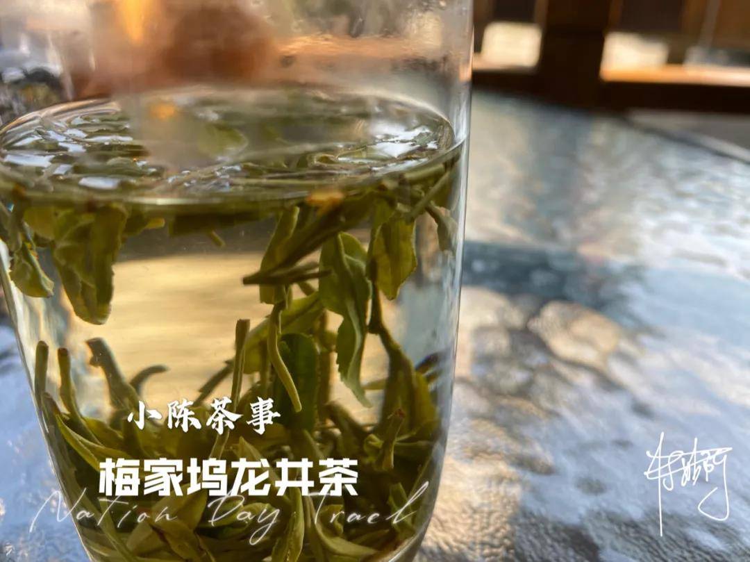 绿茶和白茶可以一起泡吗