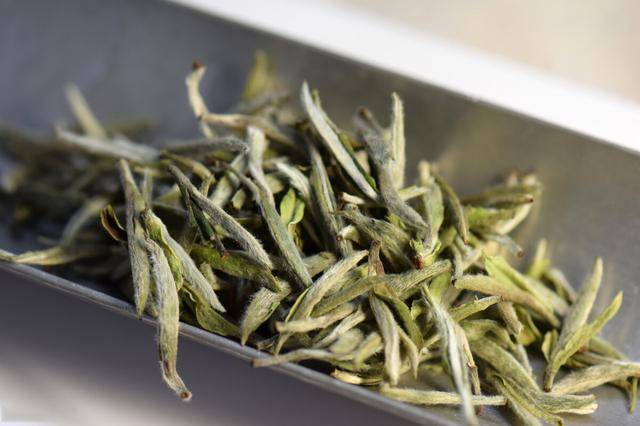 福鼎白茶古树茶茶饼价格及图片，纯料一斤多少钱？