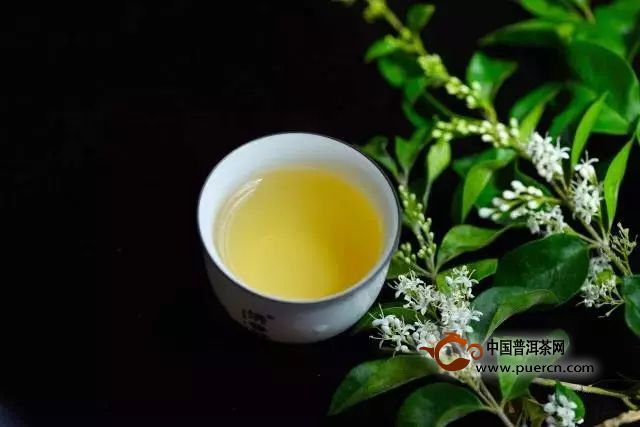 白茶茶饼什么节喝比较好？