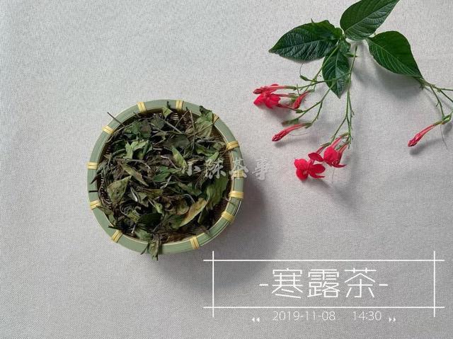 古树白茶的特点及功效，正确泡法和档次