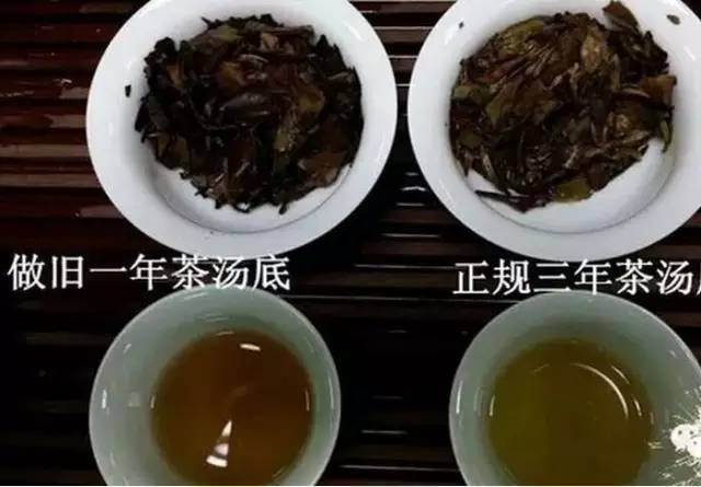 福鼎老白茶功效和作用：福鼎老白茶的药用价值及茶口感