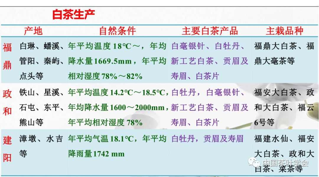 白茶的新工艺及其与传统工艺的区别和起源