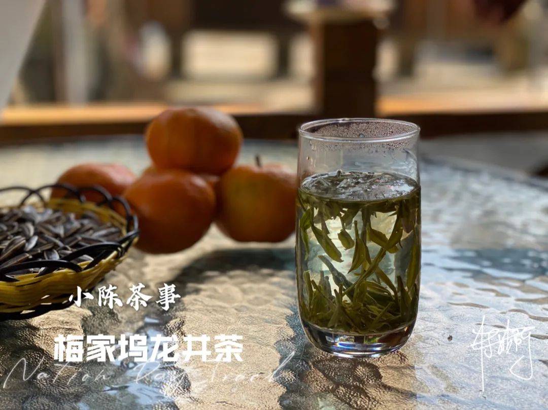 白茶与黑茶哪个对胃好