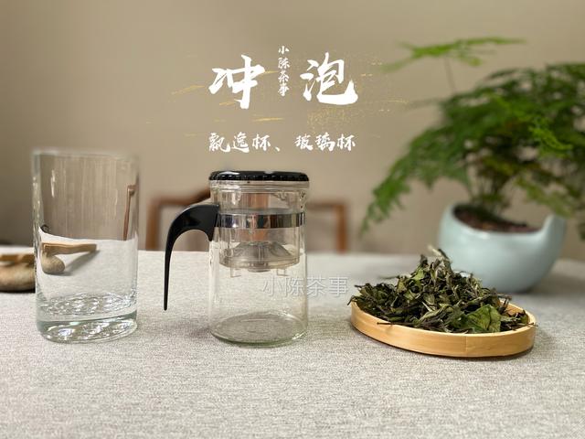 泡茶玻璃杯可以泡白茶吗