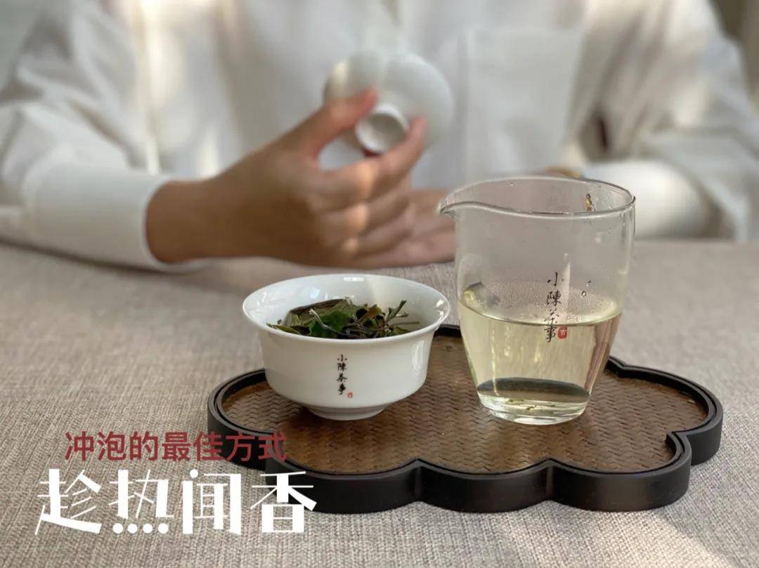 白茶用什么水泡茶