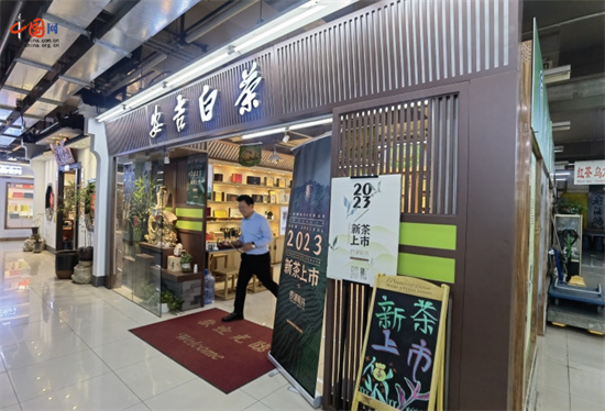 百色白茶茶叶加盟代理店