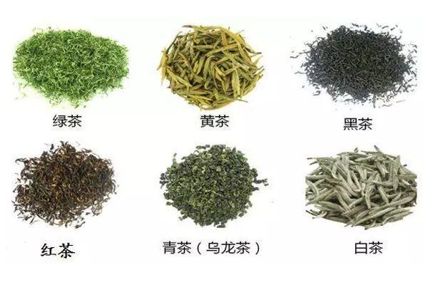 白茶包括哪些茶叶品种