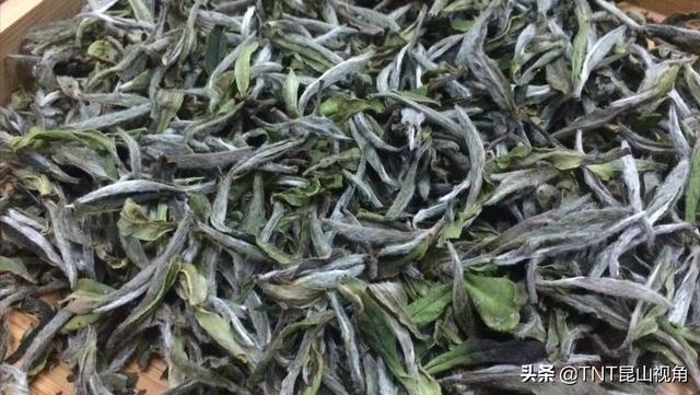 白茶包括哪些茶叶品种