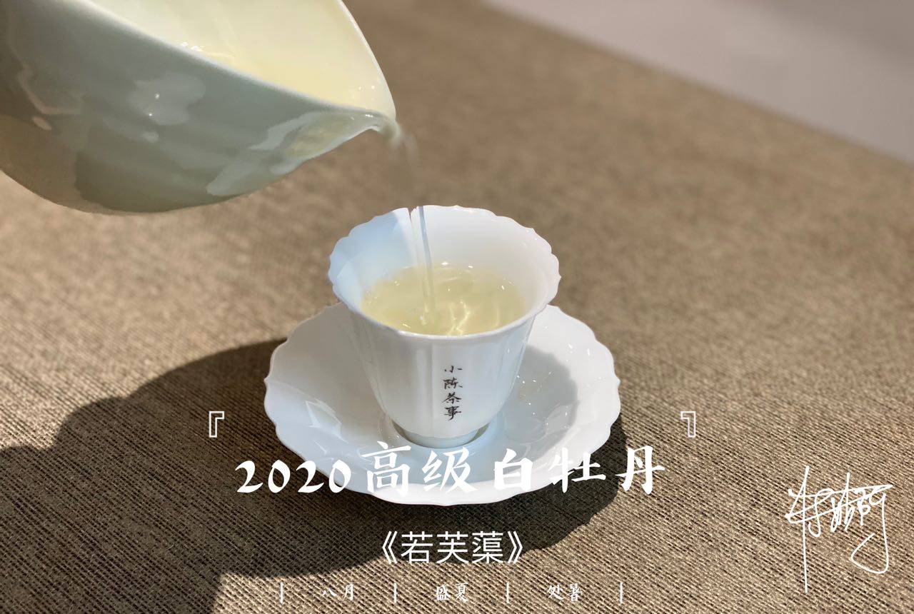 红茶苦还是白茶苦一点