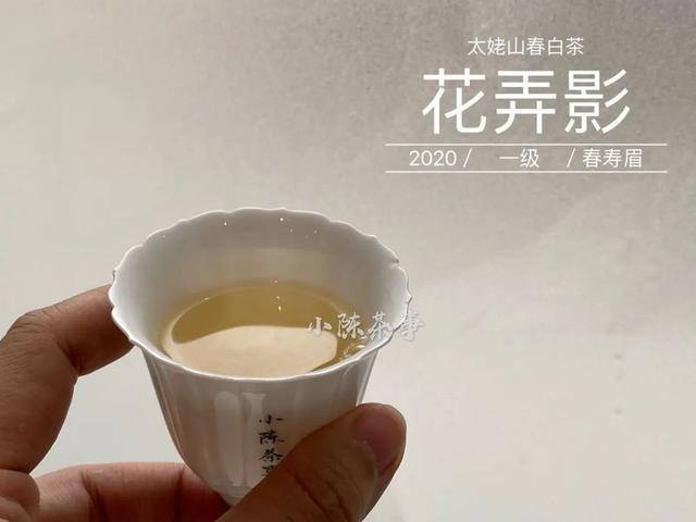 新白茶怎么冲泡好喝的方法