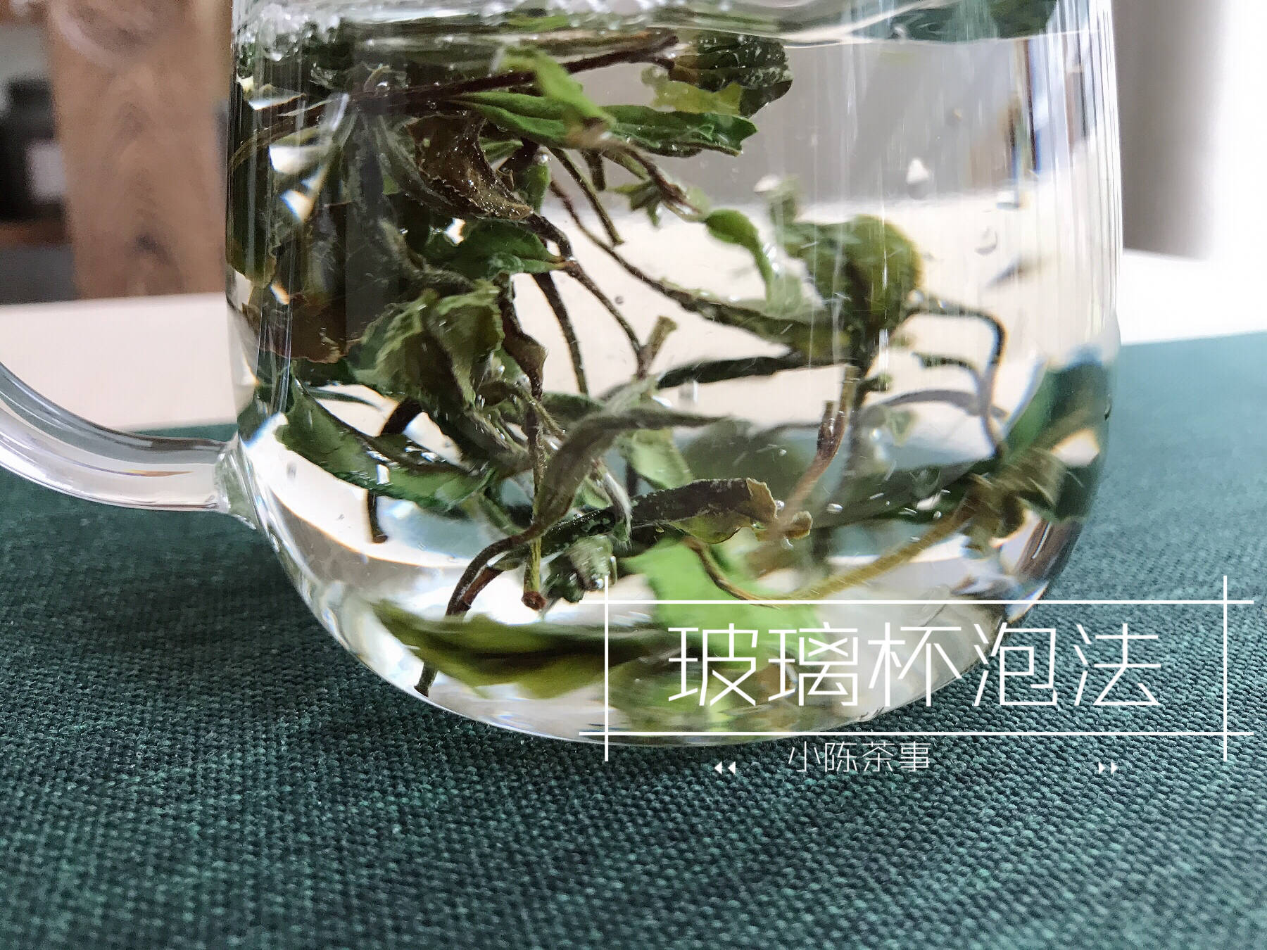 新白茶怎么用玻璃杯泡茶