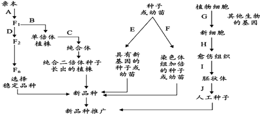 怎么知道白茶含水量高低的原因及测量方法和控制围