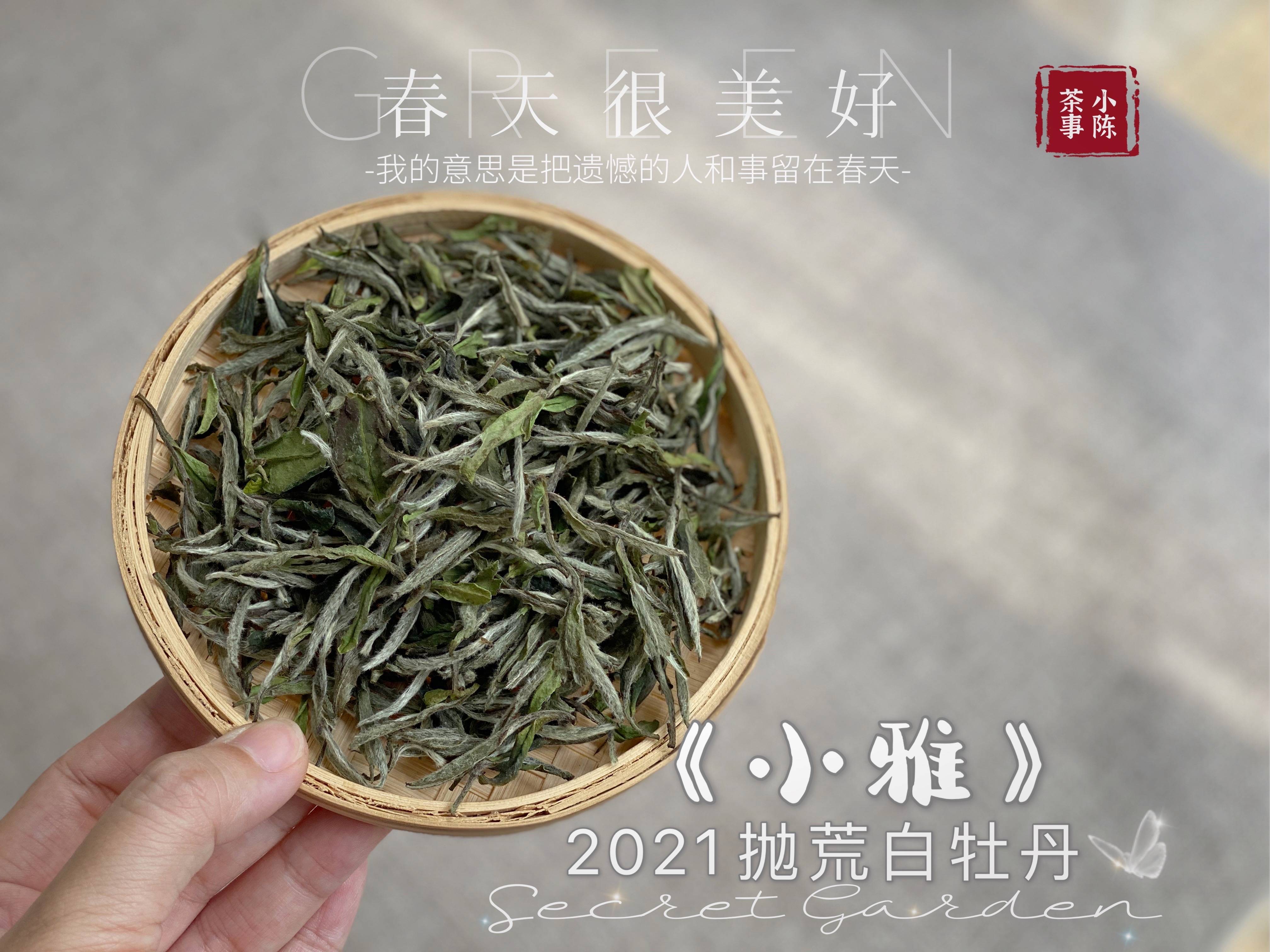 岩茶和老白茶哪个好，区别及口感分析