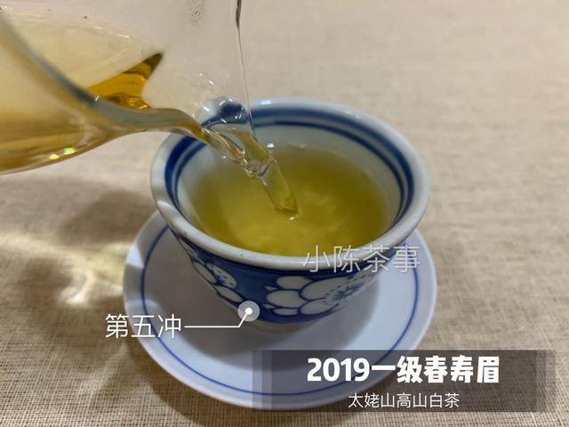 白茶和娃娃菜的区别在哪