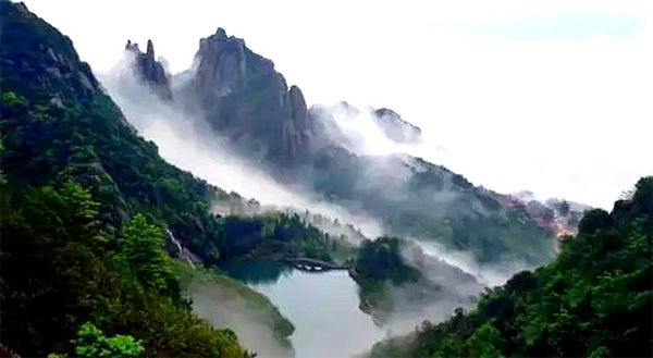 洋村白茶太姥山基地的品质及福鼎村白茶的评价