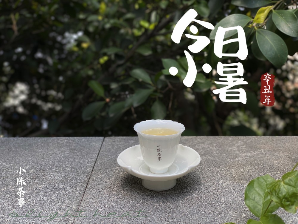 保杯是否能泡白茶喝