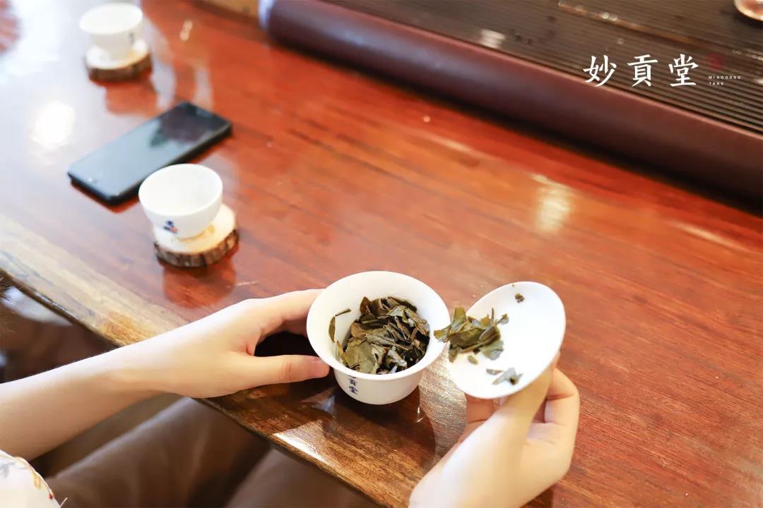 白茶什么样的算精品好的茶品质