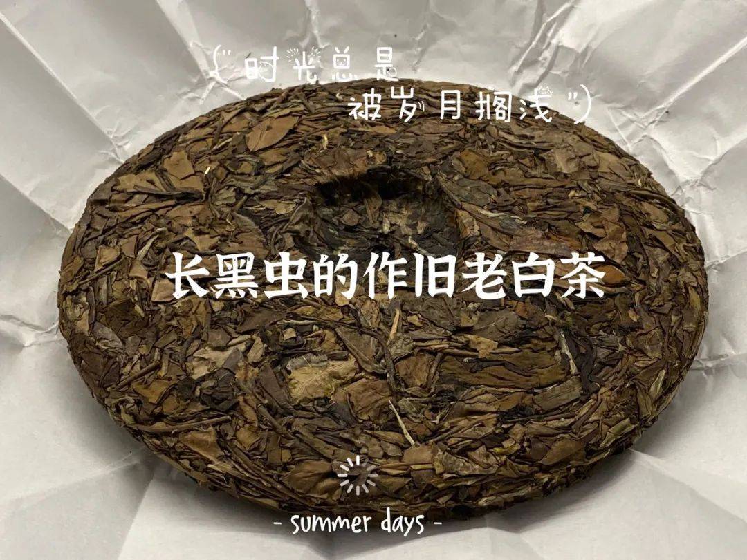 老白茶有没有加工的必要