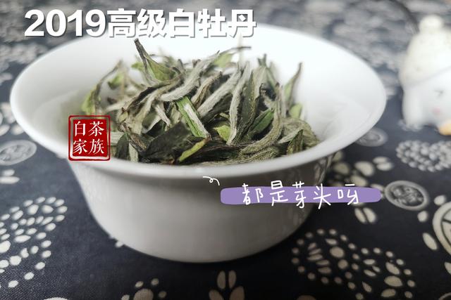 白茶可以泡几遍