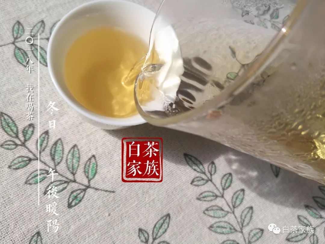 天天喝白茶会不会胖人