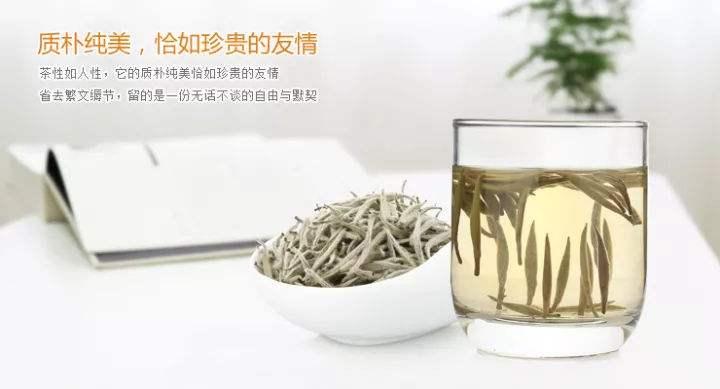 喝白茶有什么好处和坏处牙