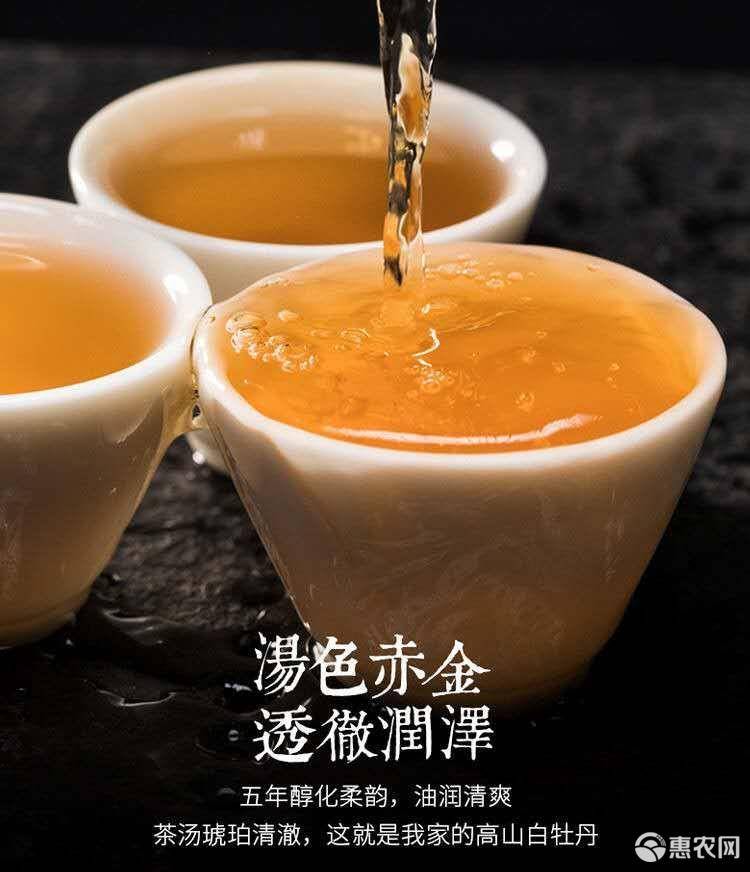 加盟品牌福鼎老白茶多少钱